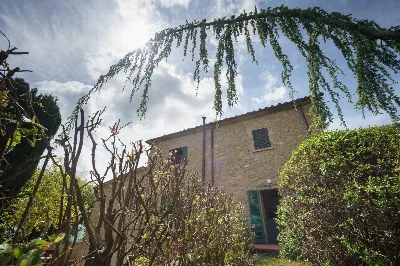 Rustico/Casale in vendita a Volterra - foto 6