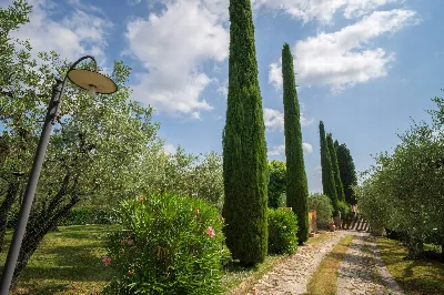 Rustico/Casale in vendita a Gambassi Terme - foto 10