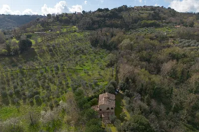 Rustico/Casale in vendita a Volterra - foto 9