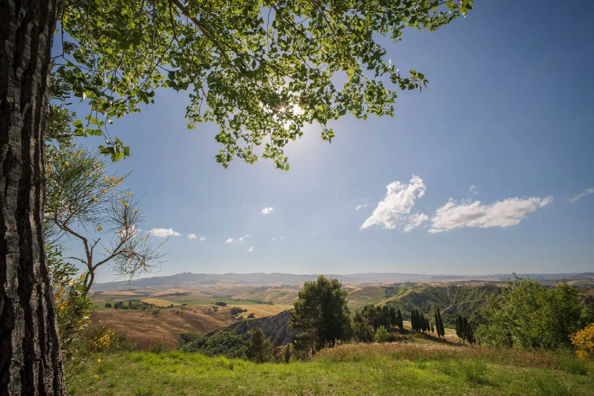 Villa in vendita a Volterra - foto 4