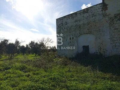 Rustico/Casale in vendita a Galatina - foto 3