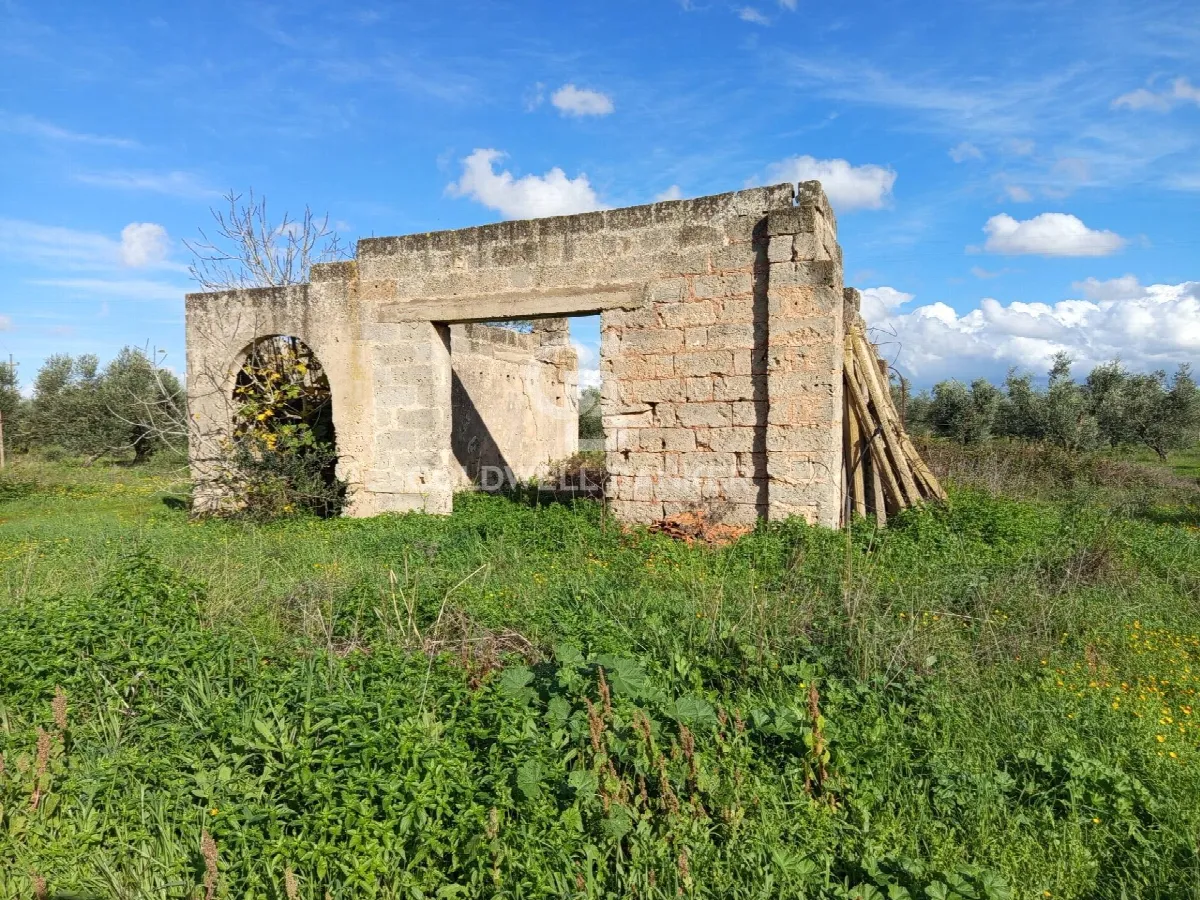 Rustico/Casale in vendita a Galatina - foto 5