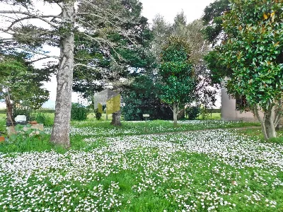 Casa Indipendente in vendita a San Giulian... - foto 2