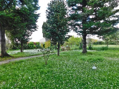 Casa Indipendente in vendita a San Giulian... - foto 4