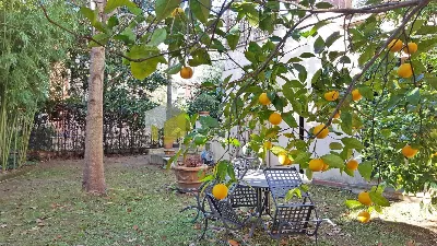 Villa in vendita a San Giuliano Terme - foto 10