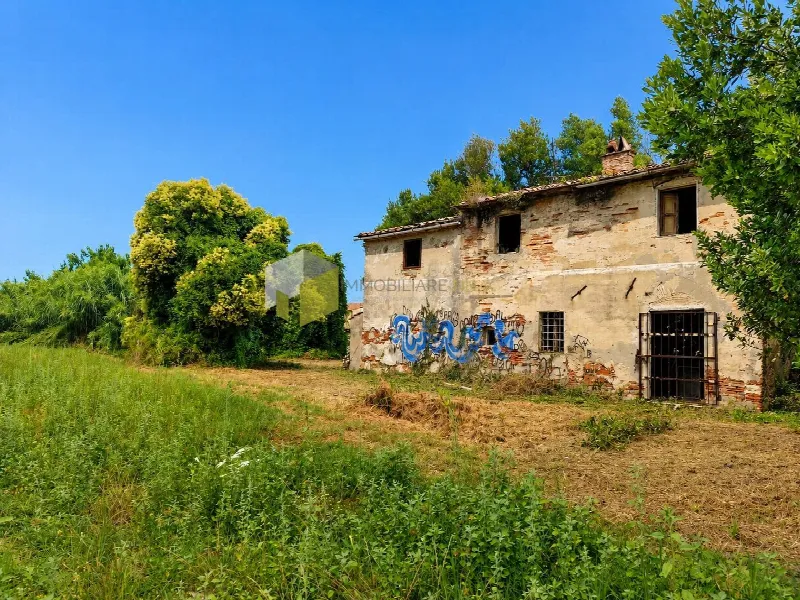 Rustico/Casale in vendita a Cascina - foto 1