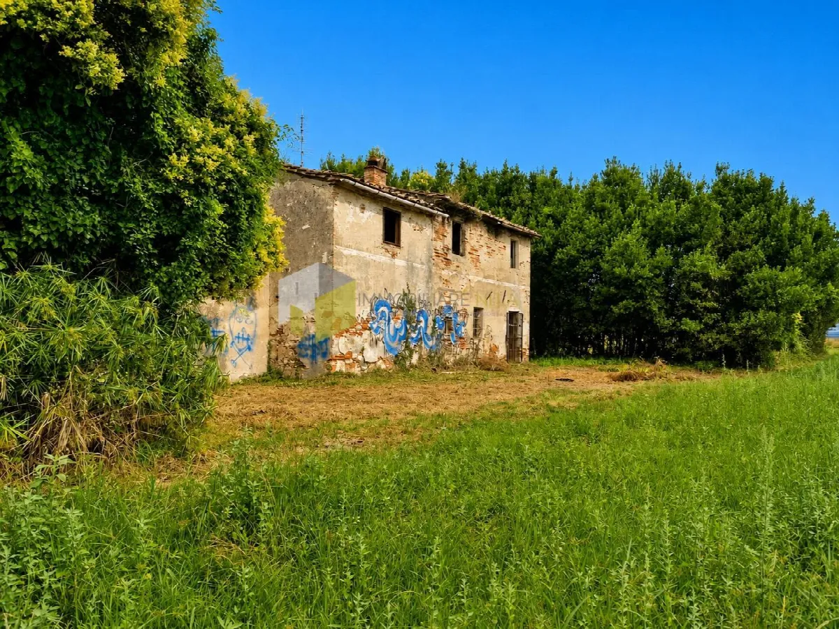 Rustico/Casale in vendita a Cascina - foto 2