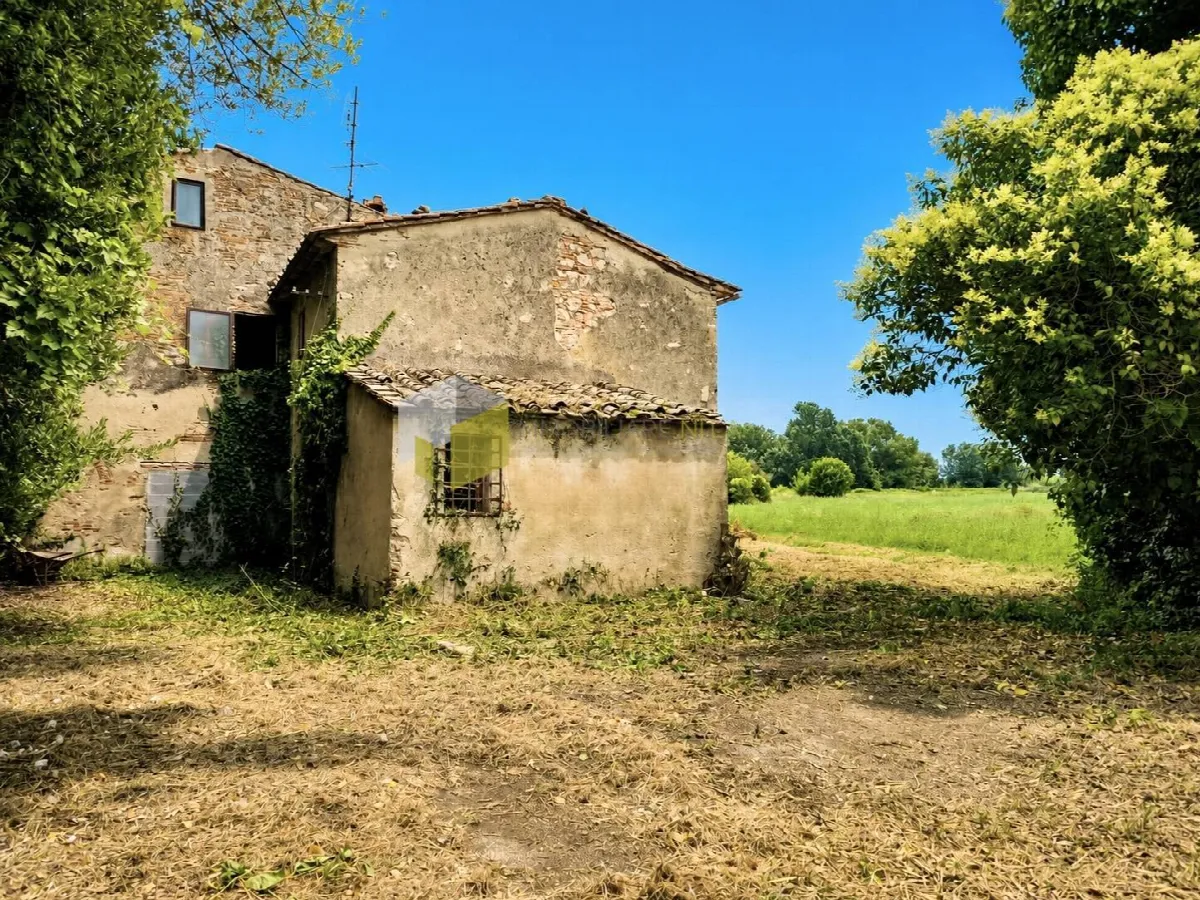Rustico/Casale in vendita a Cascina - foto 3