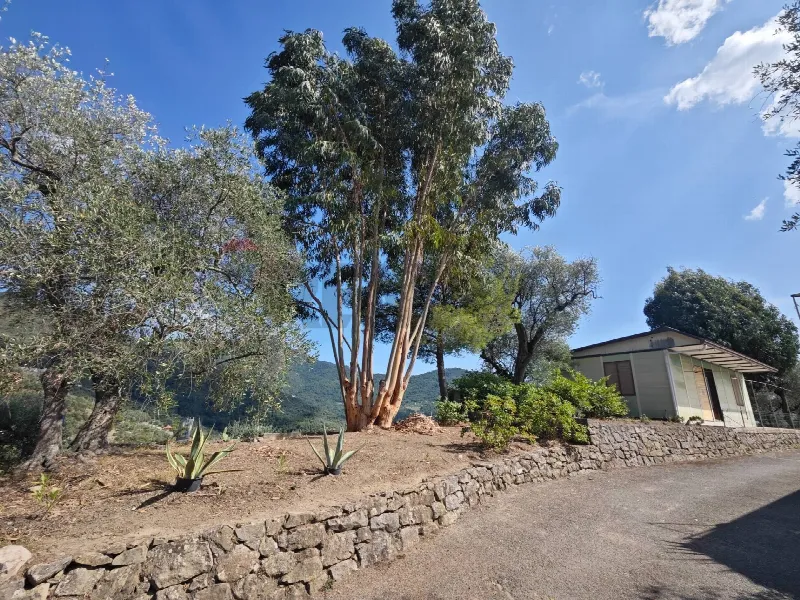 Villa in vendita a Perinaldo - foto 2