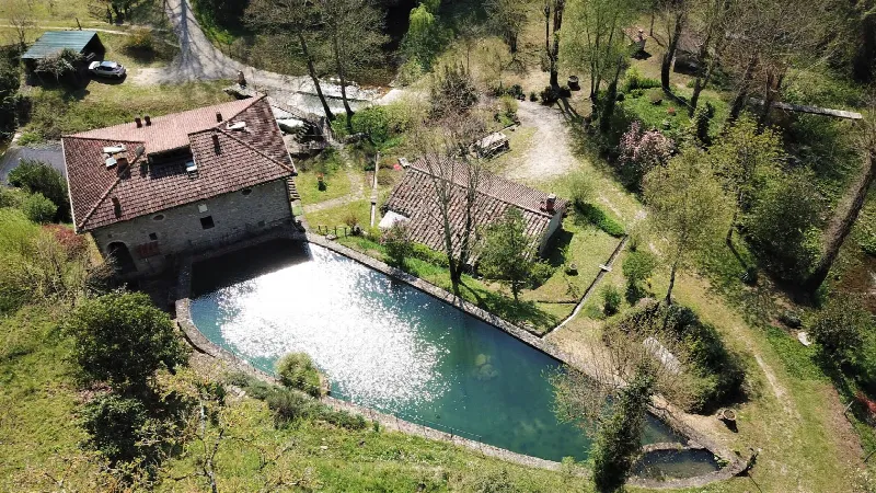 Rustico/Casale in vendita a Borgo San Lorenzo - foto 1