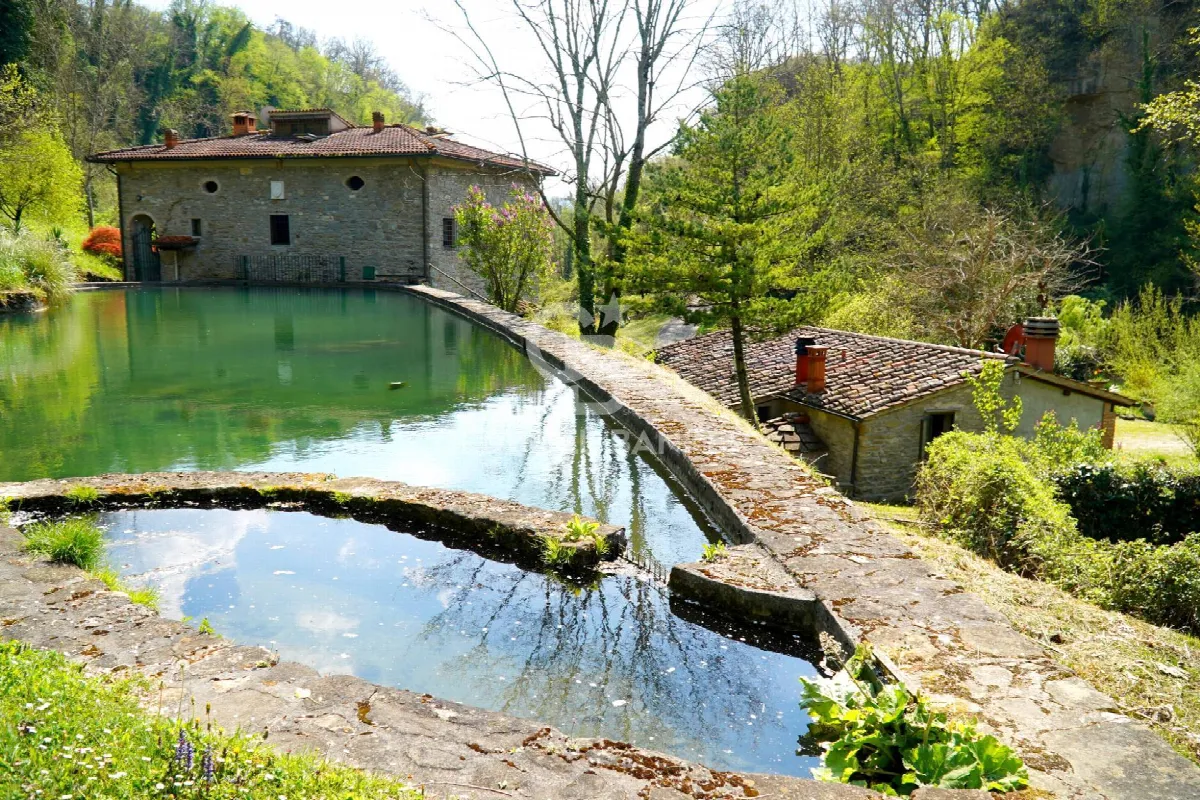 Rustico/Casale in vendita a Borgo San Lorenzo - foto 2