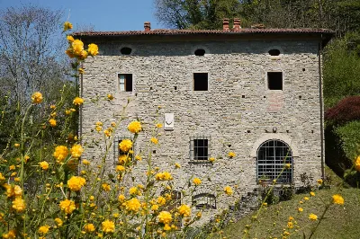 Rustico/Casale in vendita a Borgo San Lore... - foto 5