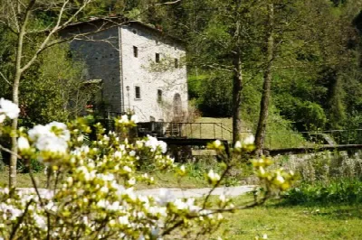 Rustico/Casale in vendita a Firenze - foto 4