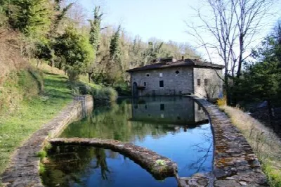 Rustico/Casale in vendita a Firenze - foto 5