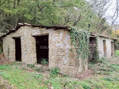 Rustico/Casale in vendita a San Lorenzo Nu... - foto 1