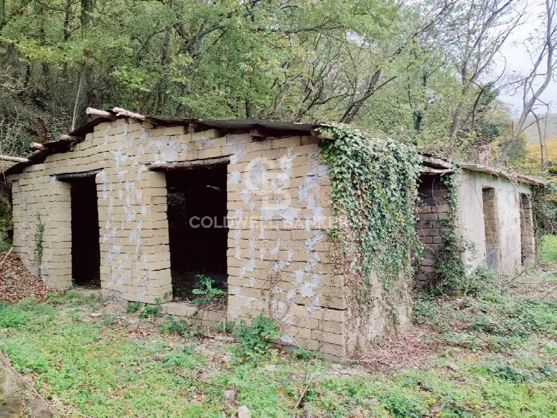 Rustico/Casale in vendita a San Lorenzo Nuovo - foto 1