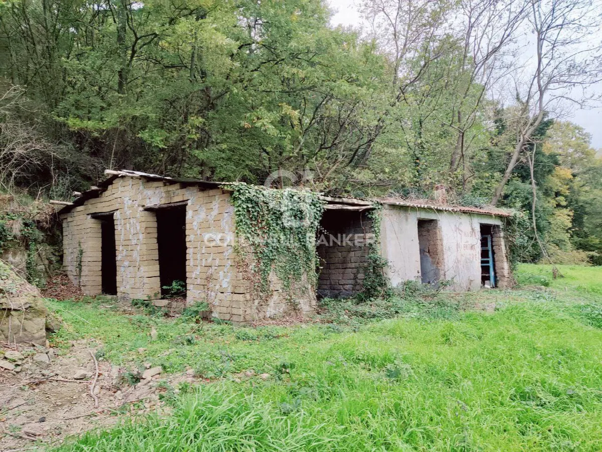 Rustico/Casale in vendita a San Lorenzo Nuovo - foto 3