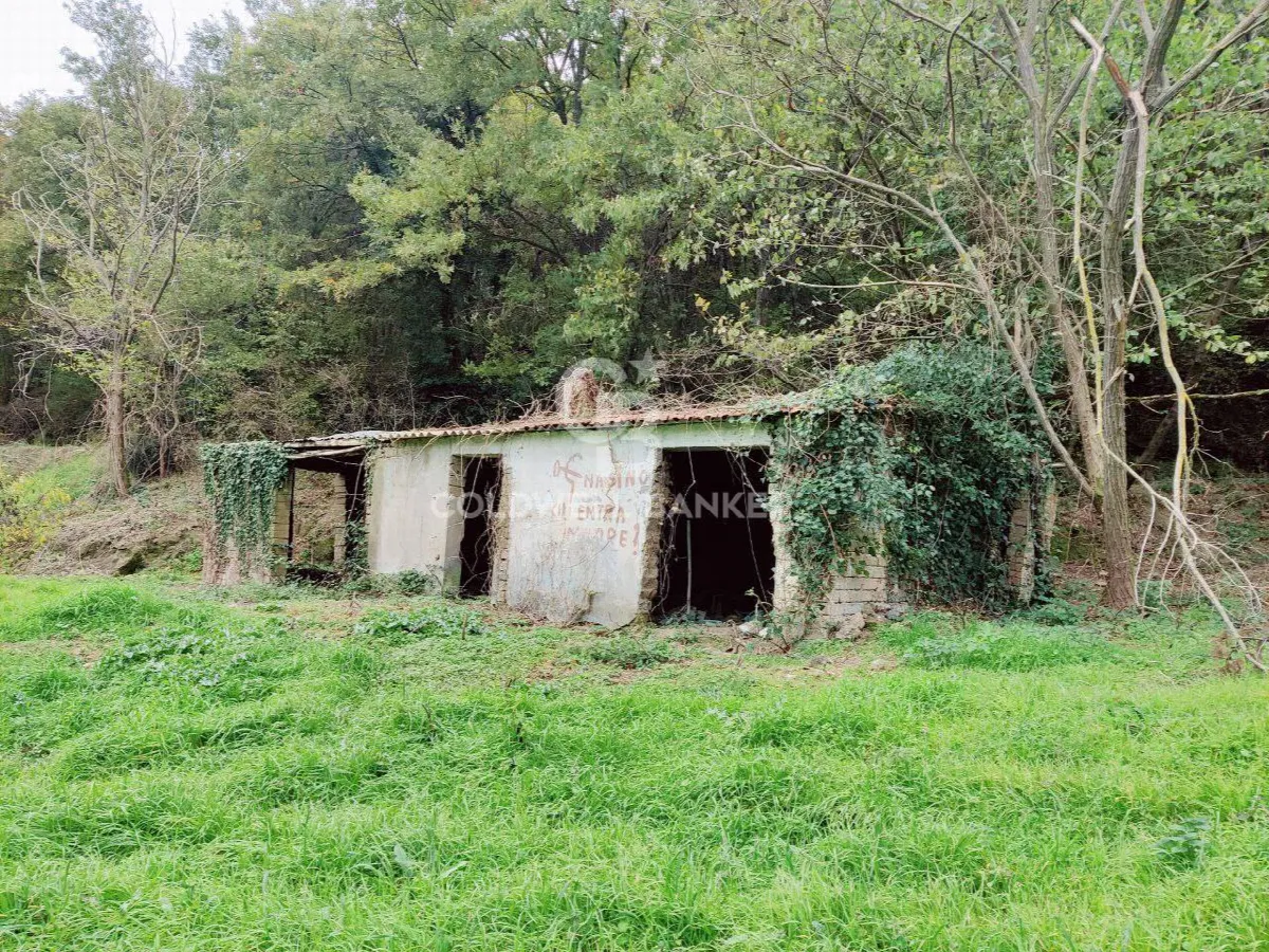 Rustico/Casale in vendita a San Lorenzo Nuovo - foto 4