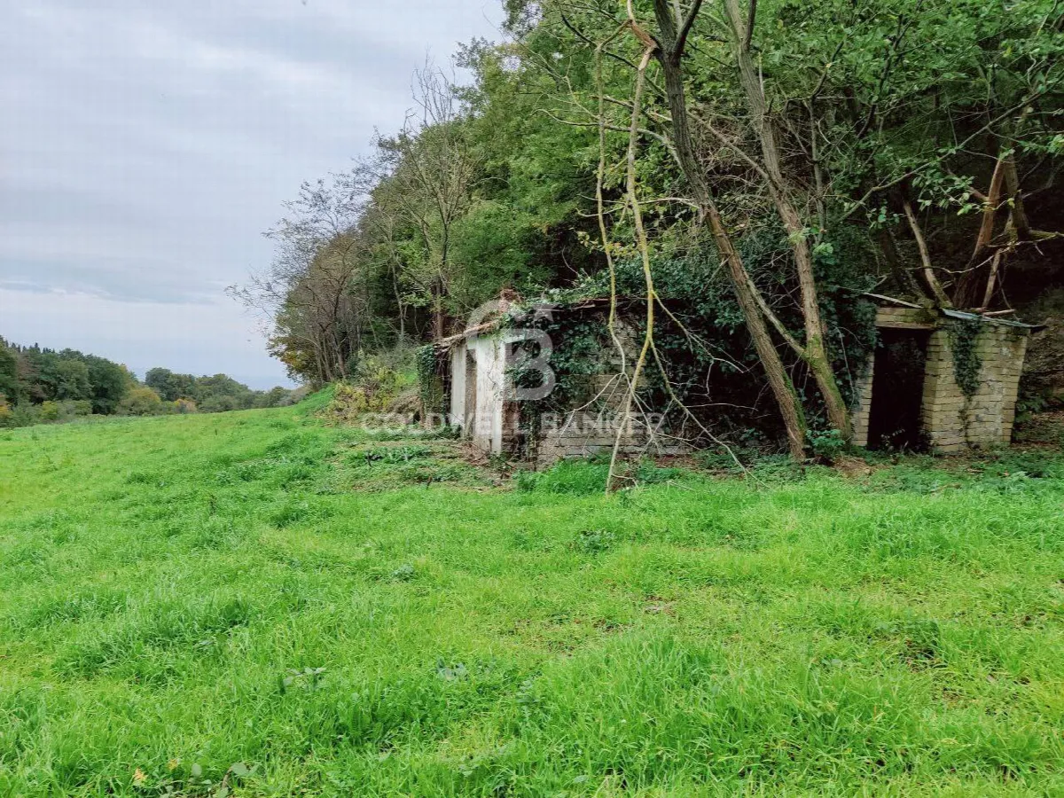 Rustico/Casale in vendita a San Lorenzo Nuovo - foto 5