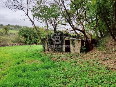 Rustico/Casale in vendita a San Lorenzo Nu... - foto 6