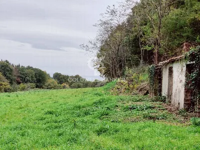 Rustico/Casale in vendita a San Lorenzo Nu... - foto 7