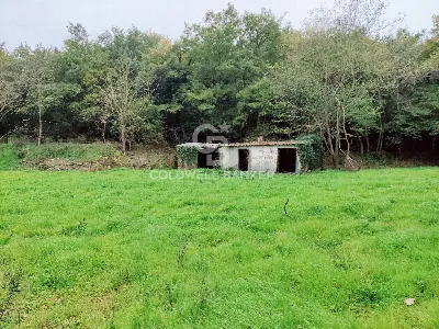 Rustico/Casale in vendita a San Lorenzo Nu... - foto 8