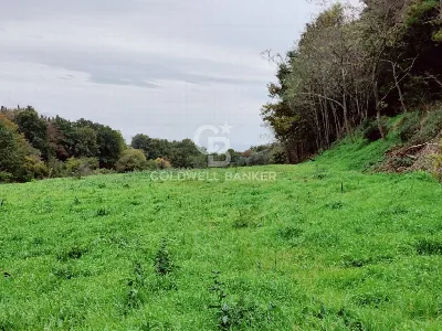 Rustico/Casale in vendita a San Lorenzo Nu... - foto 10