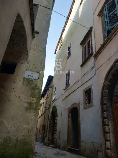 Rustico/Casale in vendita a Gallese - foto 3