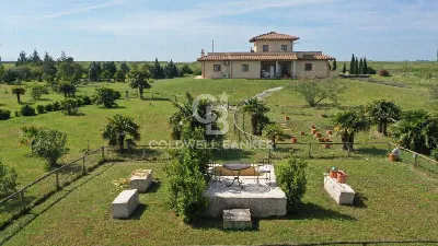 Villa in vendita a Canino - foto 2
