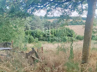 Rustico/Casale in vendita a Valentano - foto 8