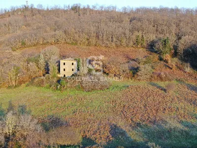 Rustico/Casale in vendita a Latera - foto 1