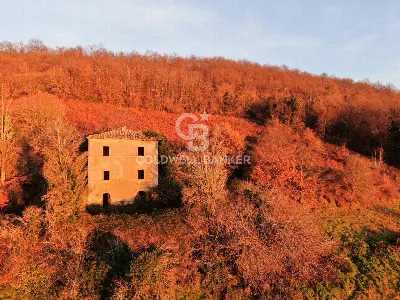 Rustico/Casale in vendita a Latera - foto 10