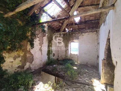 Rustico/Casale in vendita a Latera - foto 3