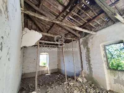 Rustico/Casale in vendita a Latera - foto 4