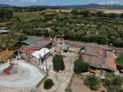Rustico/Casale in vendita a Capalbio - foto 3