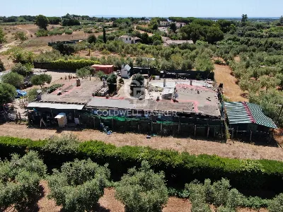 Rustico/Casale in vendita a Capalbio - foto 6