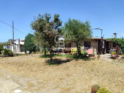 Rustico/Casale in vendita a Capalbio - foto 7