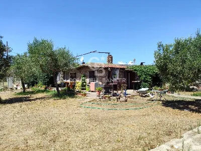 Rustico/Casale in vendita a Capalbio - foto 8