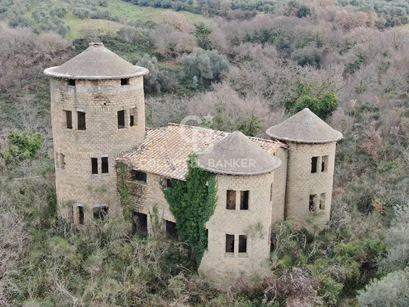 Palazzo/Stabile in vendita a Farnese - foto 1