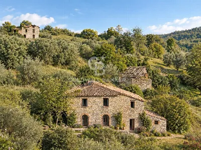Rustico/Casale in vendita a Latera - foto 2
