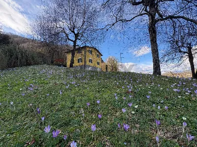 Villa in vendita a Borgo a Mozzano - foto 9