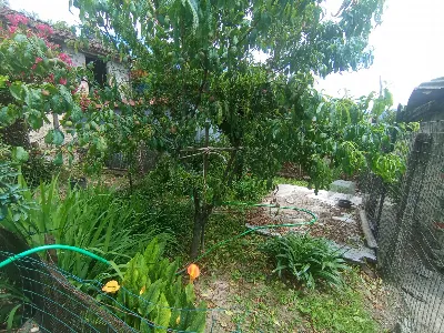 Casa Indipendente in vendita a Coreglia An... - foto 3