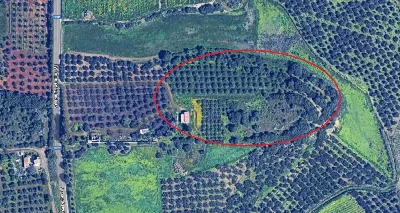 Villa in vendita a Castelvetrano - foto 5