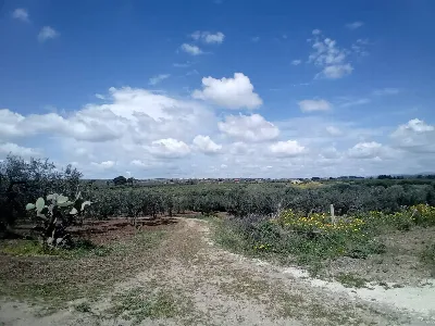 Villa in vendita a Castelvetrano - foto 6