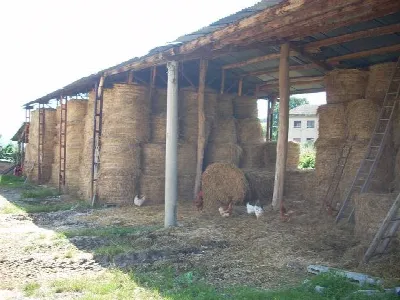 Rustico/Casale in vendita a Campli - foto 4
