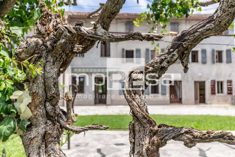 Casa Indipendente in vendita a Porcia - foto 1