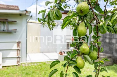 Casa Indipendente in vendita a Porcia - foto 6