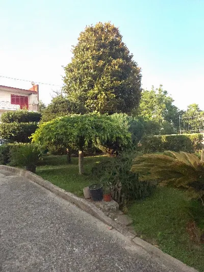 Villa in vendita a Pomigliano d'Arco - foto 3