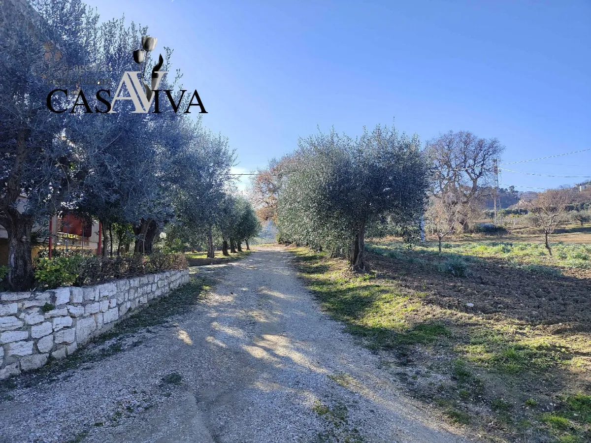 Rustico/Casale in vendita ad Acquaviva Picena - foto 3