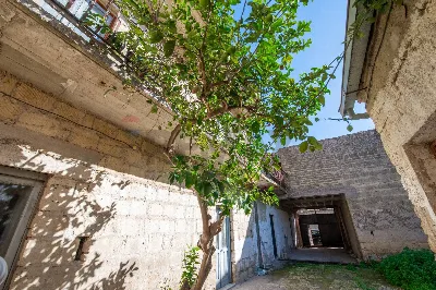 Rustico/Casale in vendita a Carinola - foto 6